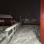 Photo taken by Paula S