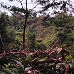 Photo taken by Bryan D