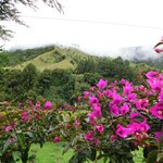 Photo taken by Brett F