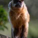 Photo taken by Matt W