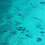 Photo taken by Sandra B