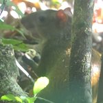 Agoudi | Photo taken by Kim S