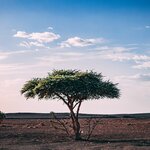 Photo taken by Kassie R