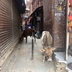 Photo taken by Andrew J