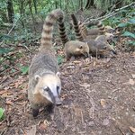 Photo taken by Vickie B