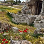 Photo taken by Sharon K