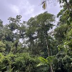 Photo taken by Kate R