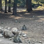 Photo taken by Lindsey B