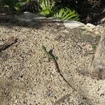 Photo taken by Imogen E