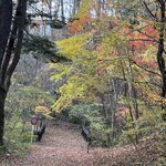 Photo taken by Beverly G