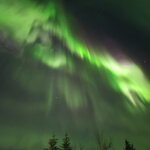 Photo taken by Monique V