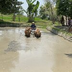 Photo taken by Dixie W