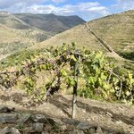 Photo taken by Karen C