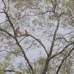 Photo taken by Sabiha K