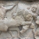 Photo taken by Diana N