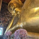 Photo taken by Dianne M