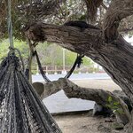 Photo taken by Kayla H