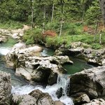 Photo taken by Kelly W