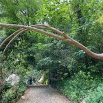 Photo taken by Bobbie X