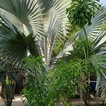 Photo taken by Juliette S