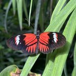 Photo taken by Nicki S