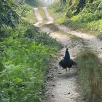 Photo taken by Cayden S