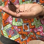 Photo taken by Lisa G