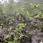 Photo taken by Alexia M