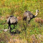 Photo taken by Dennis H