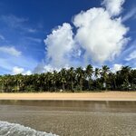 Photo taken by Edit M