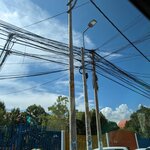 Photo taken by Tara T