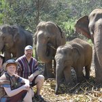 Photo taken by Brook D