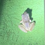 Photo taken by Kim L