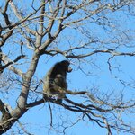 Photo taken by Linette B