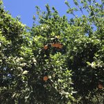 Photo taken by Victoria P