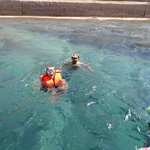 Swimming in Red Sea | Photo taken by Brad F