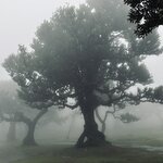 Photo taken by Mary H