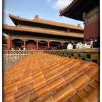 Photo taken by Fiona C