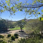 Photo taken by Sabrina S