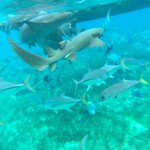 Photo taken by LaTasha J