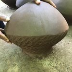 Photo taken by shelly s