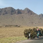 Photo taken by Livia S