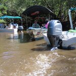 Photo taken by Pat K