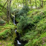 Photo taken by Peter B