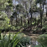 Photo taken by Amy Z