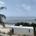 Photo taken by Kristin M