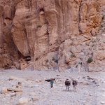 Photo taken by Margi S