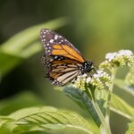 Photo taken by mindy n