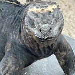 Photo taken by Randy H