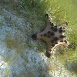 Photo taken by James W